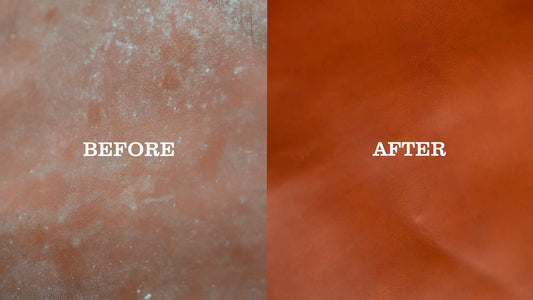 How to Remove Mold from Leather (Updated 2025, Safe for Every Leather Type)