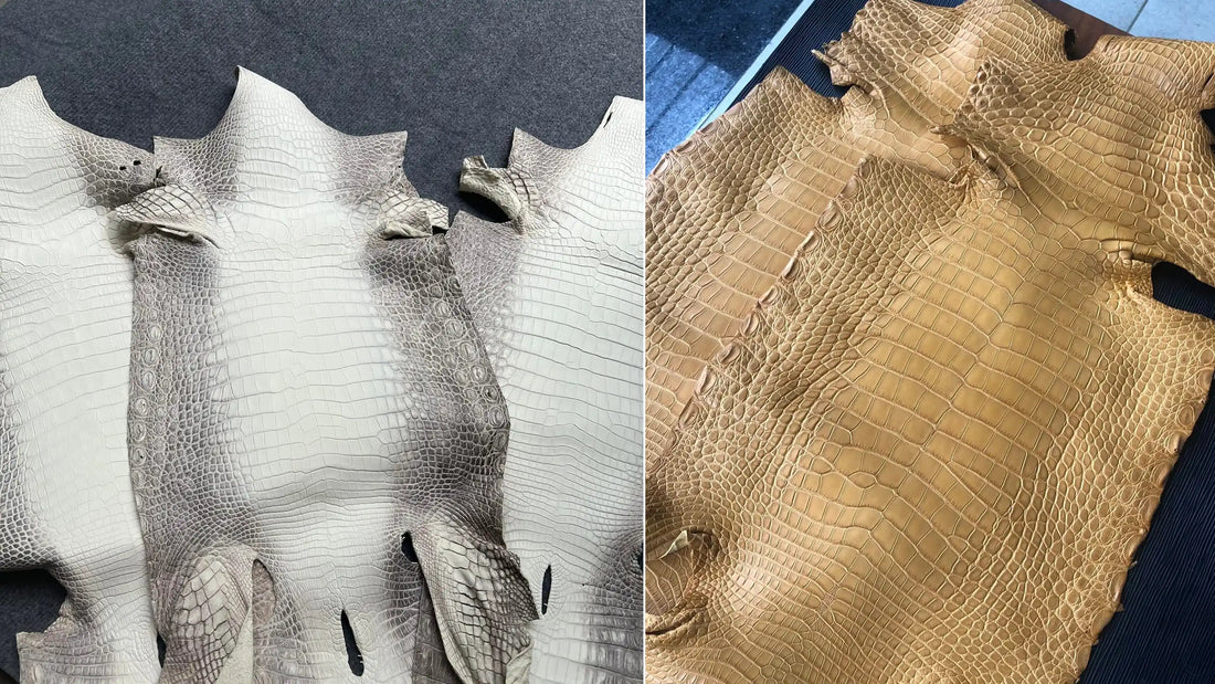 What is crocodile leather? How to distinguish between different types of crocodile leather.