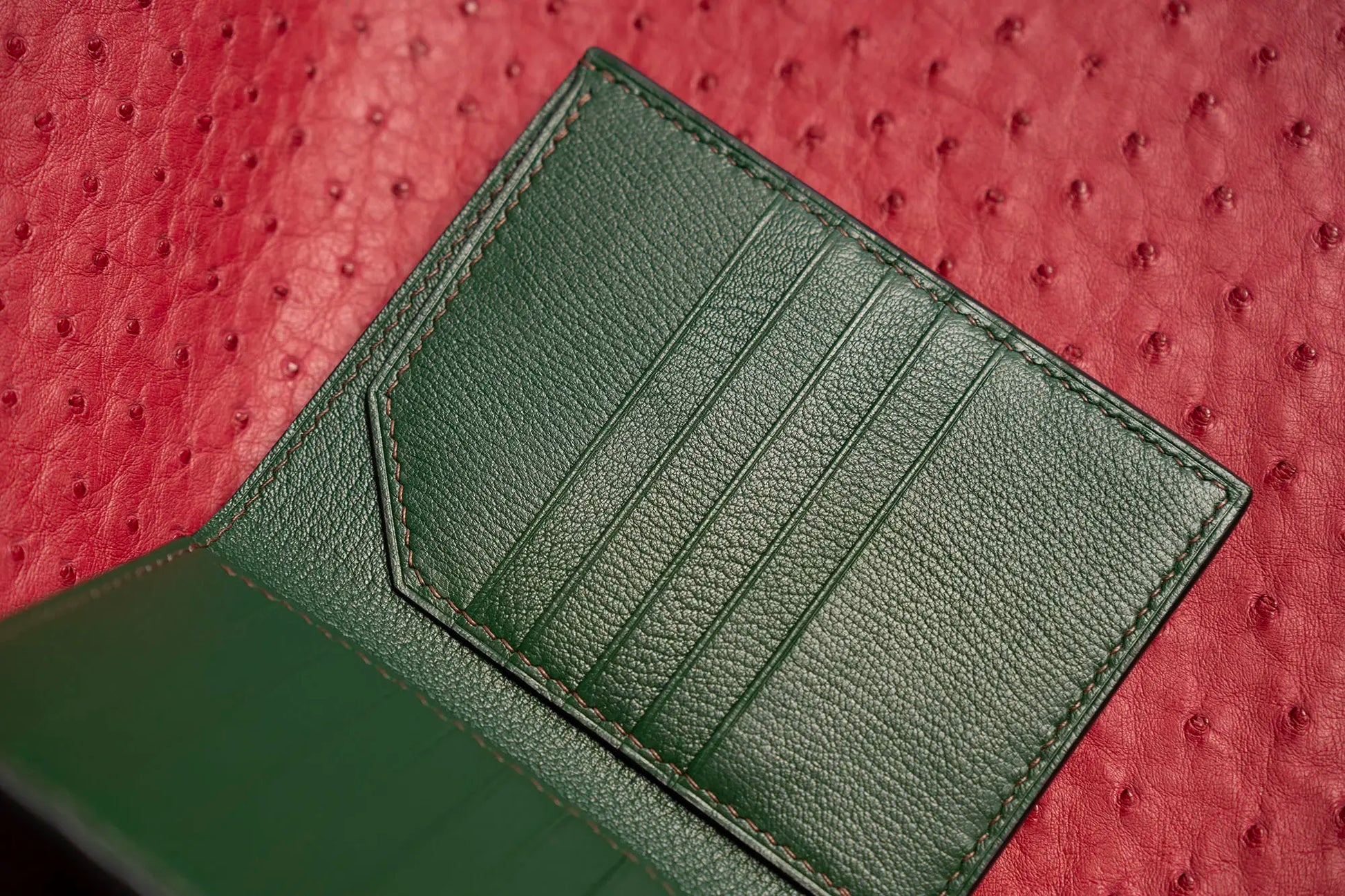 Alligator passport wallet