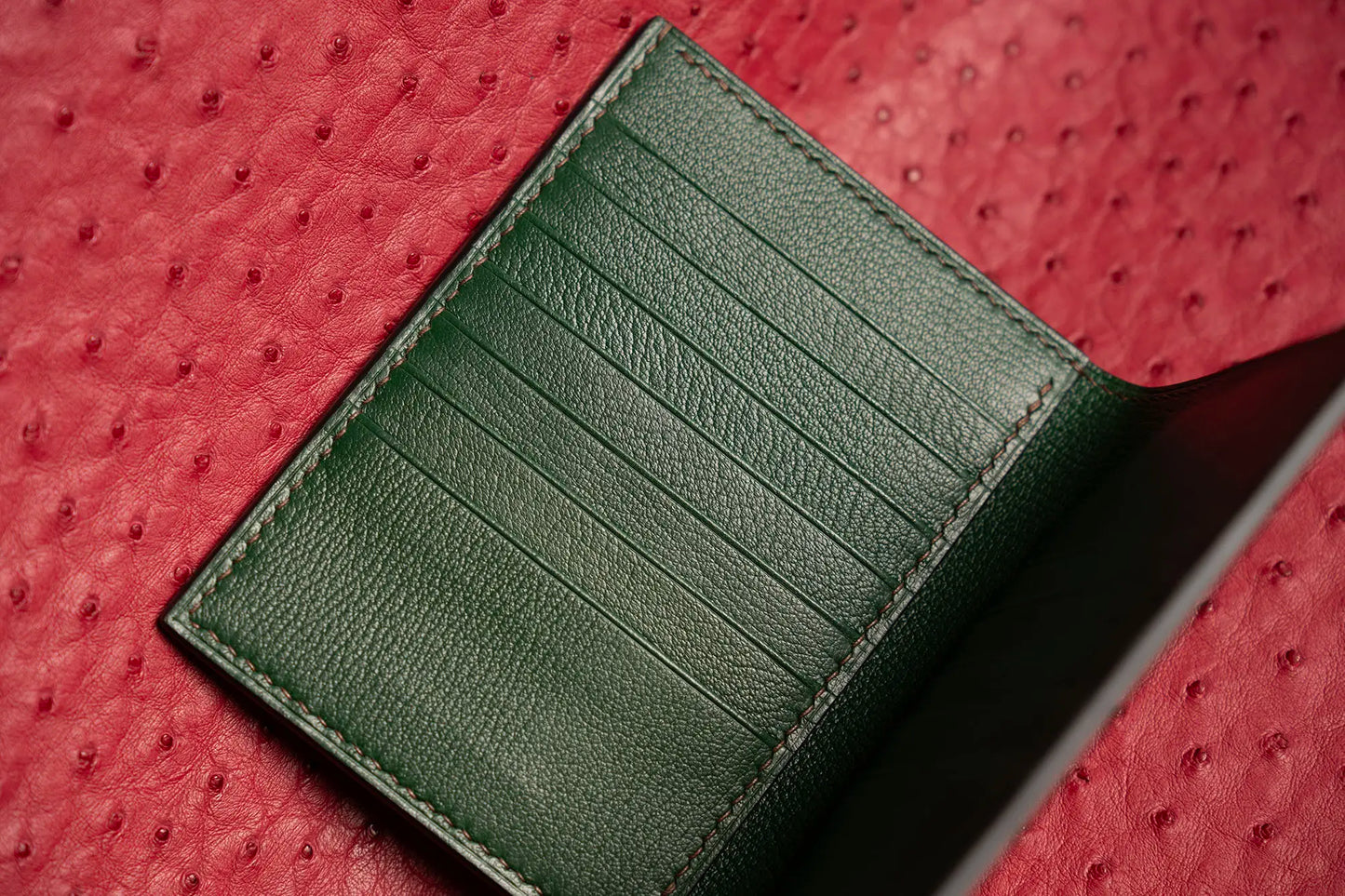 Alligator passport wallet