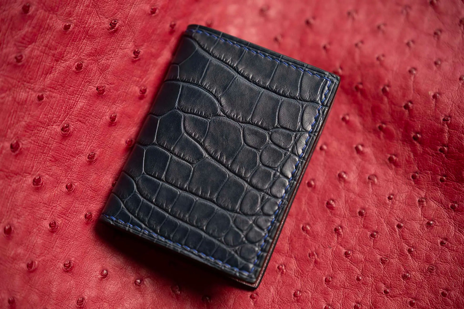 variant-gator | Alligator leather card wallet