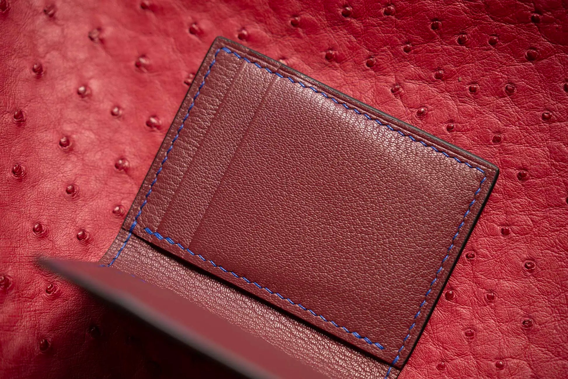 variant-gator | Alligator leather card wallet