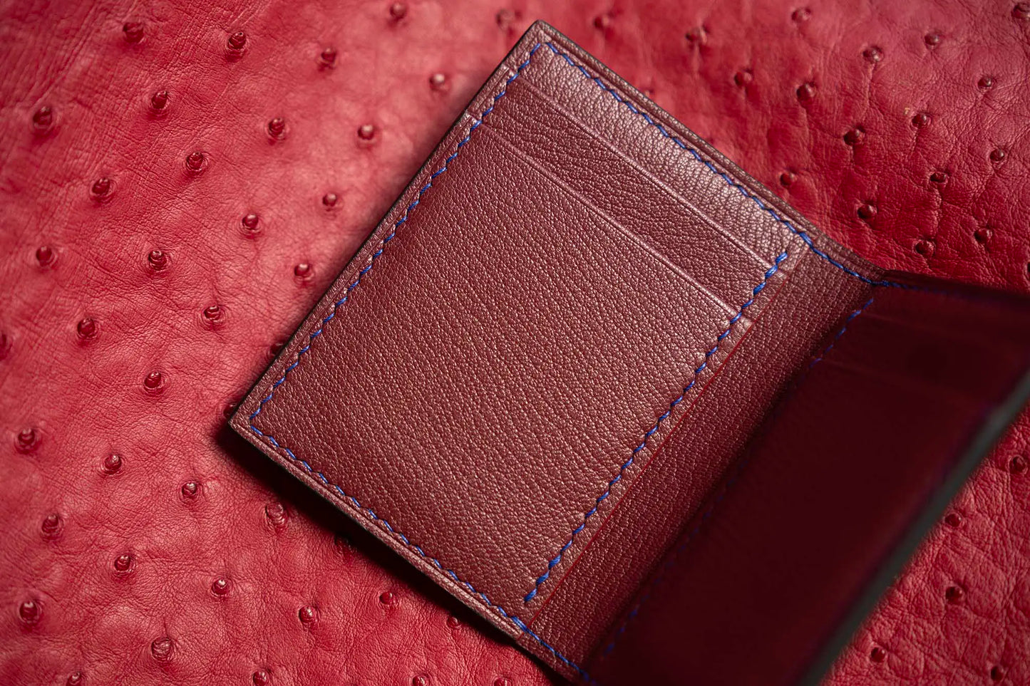 variant-gator | Alligator leather card wallet
