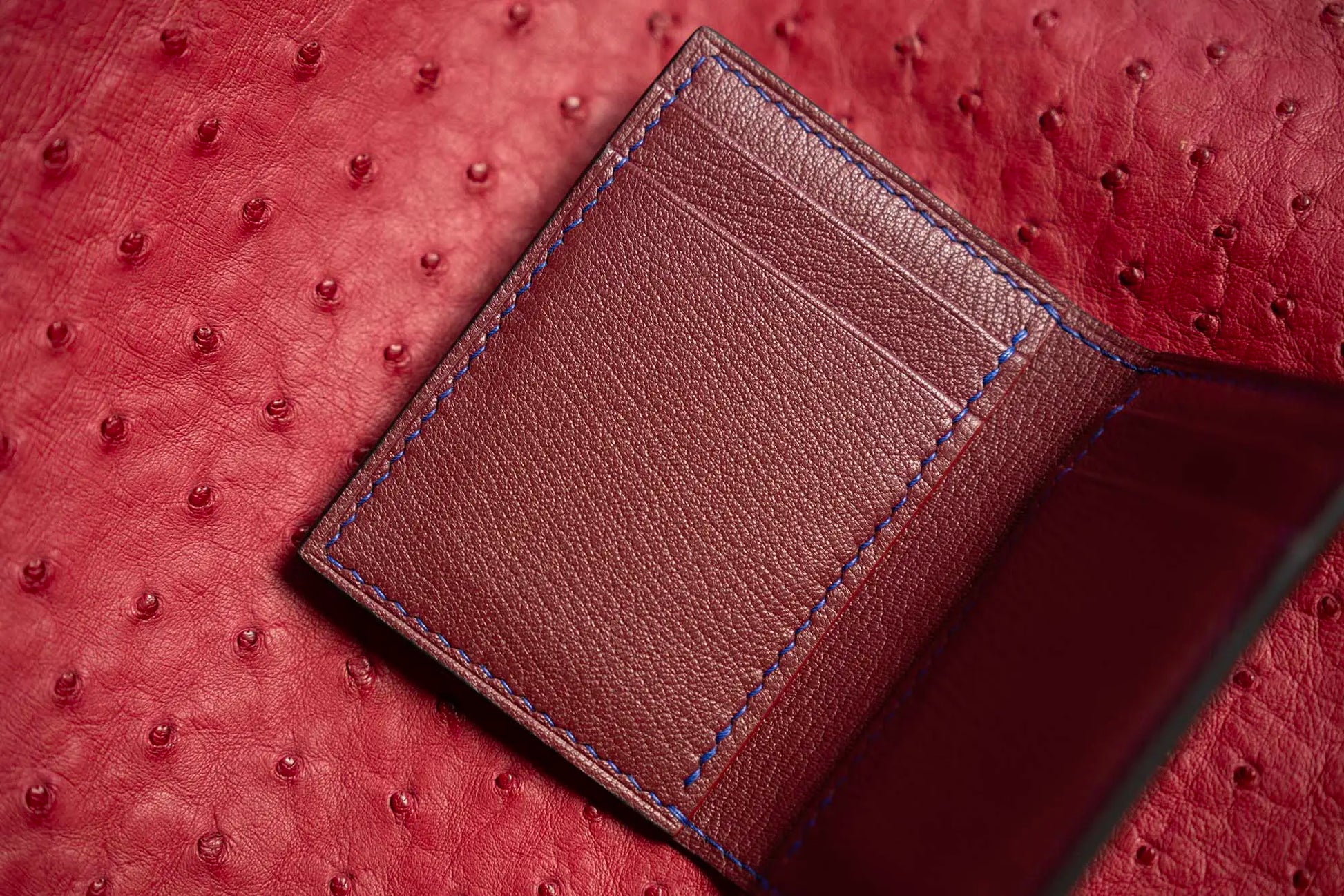 variant-gator | Alligator leather card wallet