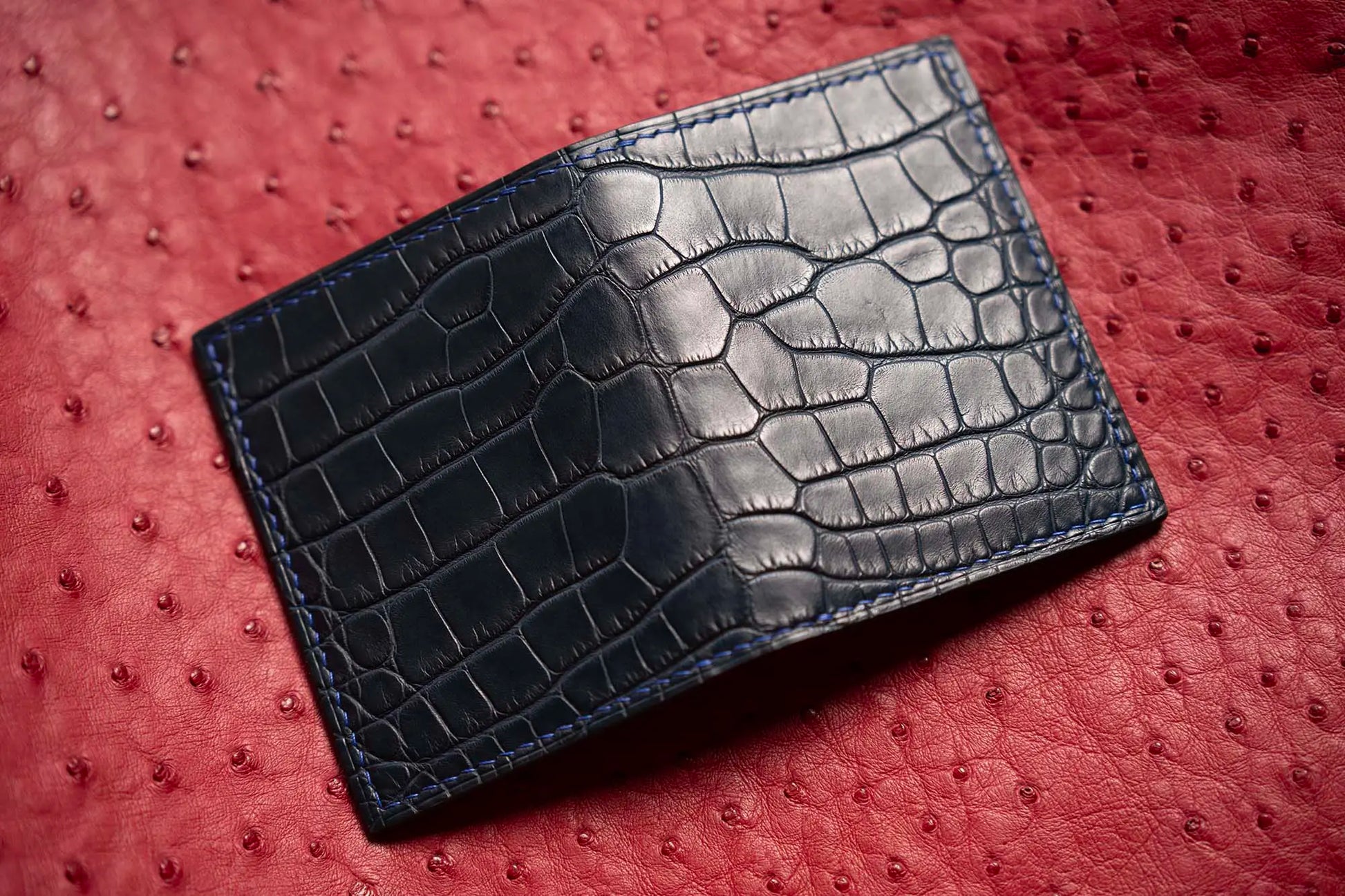 variant-gator | Alligator leather card wallet